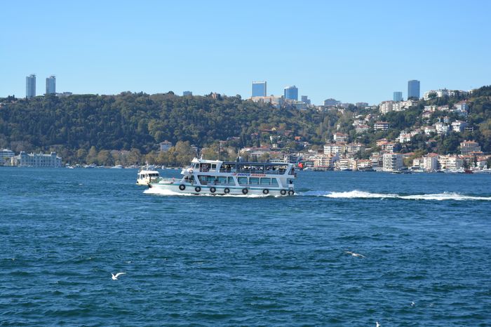 Restricted Constantine