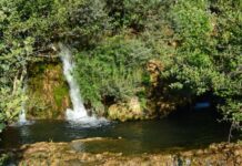 General Grant’s Lasting Legacy and the Hidden World of the Ottoman Harem