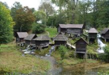 Transition from Hormisdas to Bucoleon