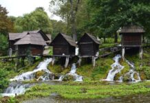 Sources and Eyewitness Information